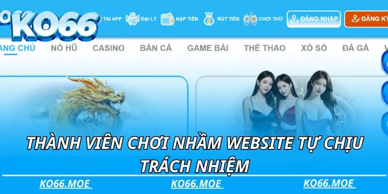 Thành viên chơi nhầm website tự chịu trách nhiệm