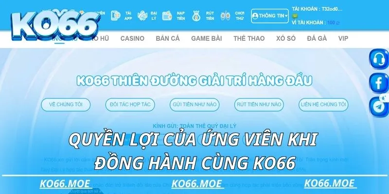 Quyền lợi của ứng viên khi đồng hành cùng nhà cái