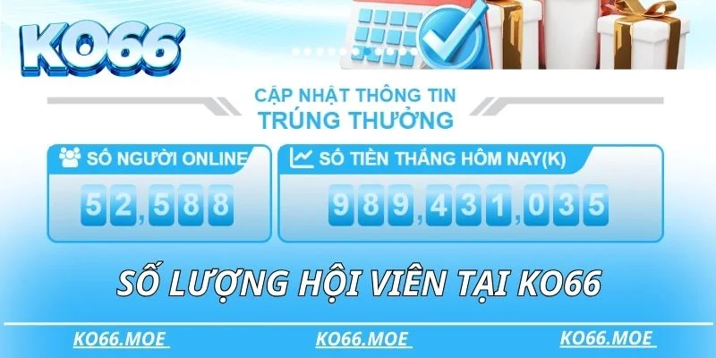 Số lượng hội viên tại KO66