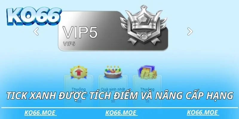 Hội viên sở hữu tick xanh được tích điểm và nâng cấp hạng